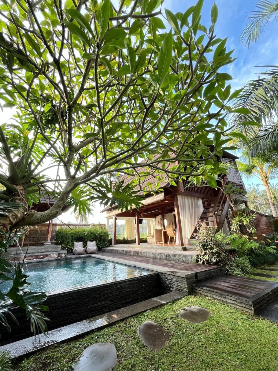 Garden view