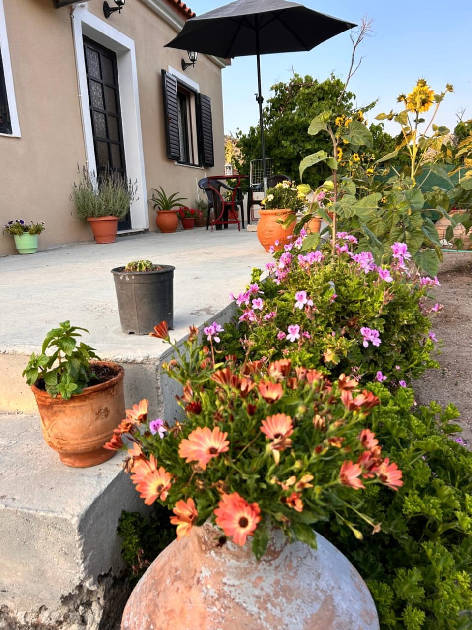 Ambelos, Lesvos Beach House House in Decentralized Administration of the Aegean