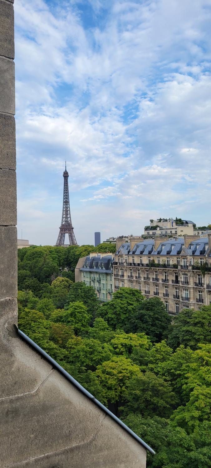 View (from property/room)