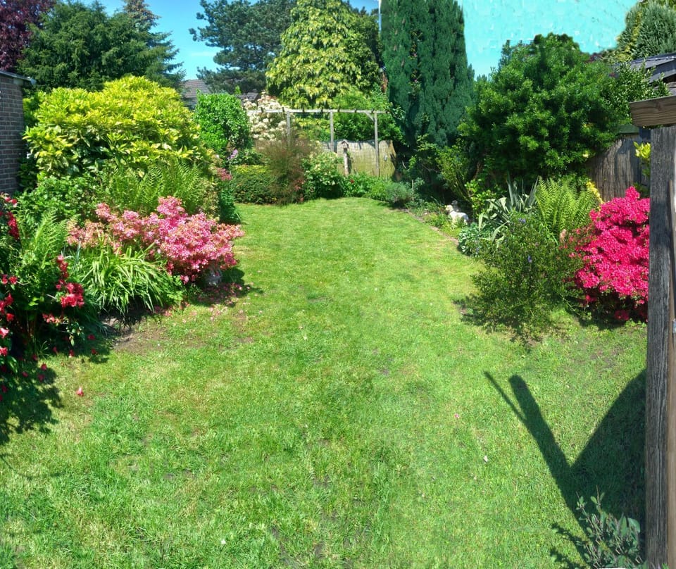 Garden view