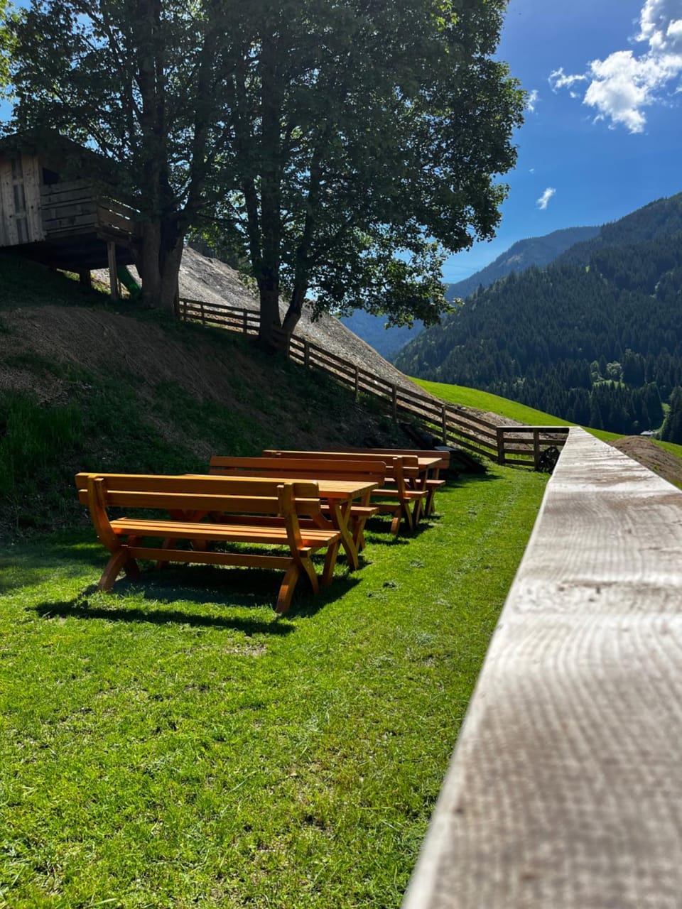 Ferienhof Vorderbichl Apartment in Salzburgerland