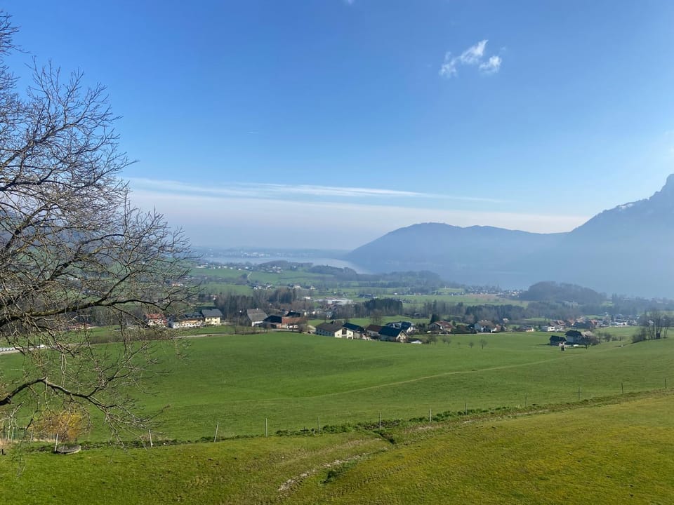 Natural landscape