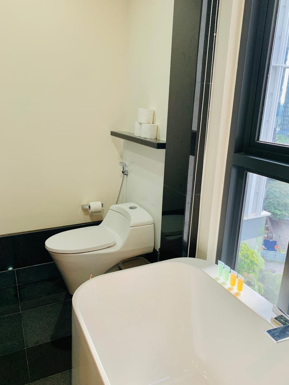 Toilet, Bathroom, Bath, bidet