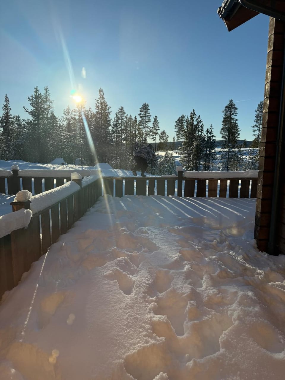 Day, Natural landscape, Winter