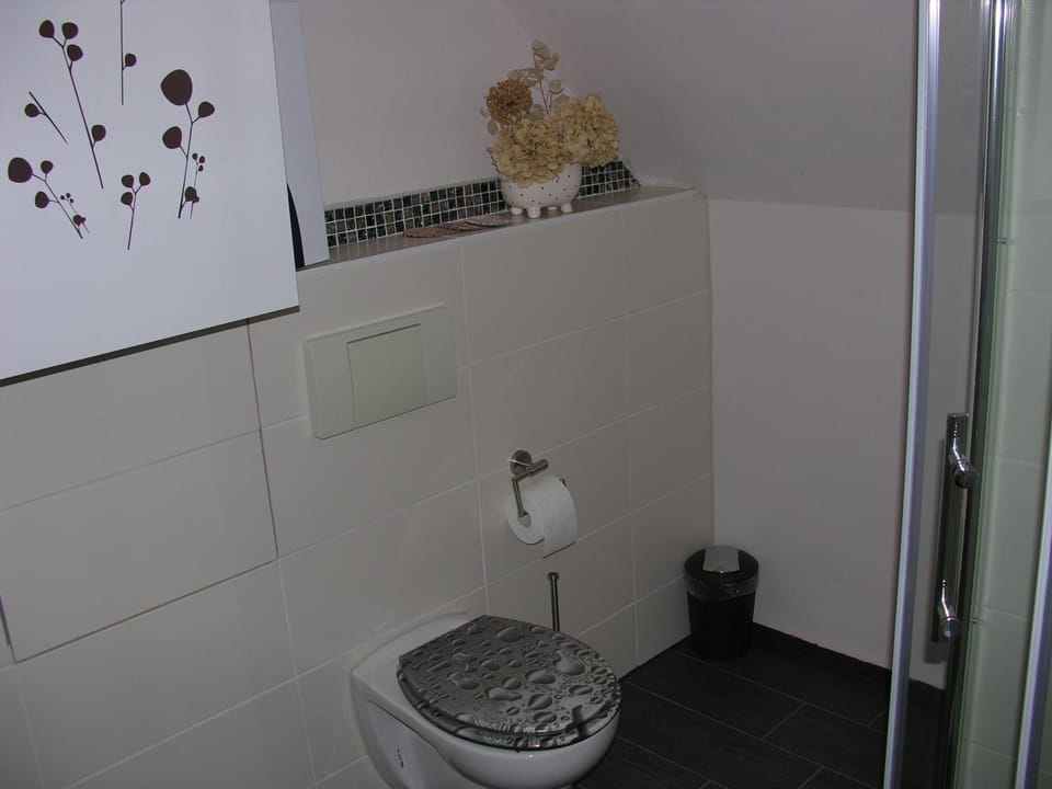 Bathroom, Living room