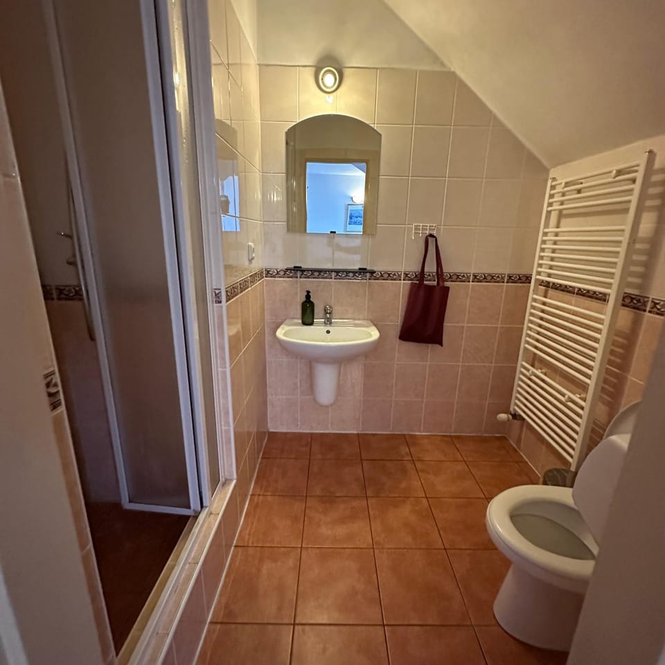 Shower, Toilet, Bathroom, towels