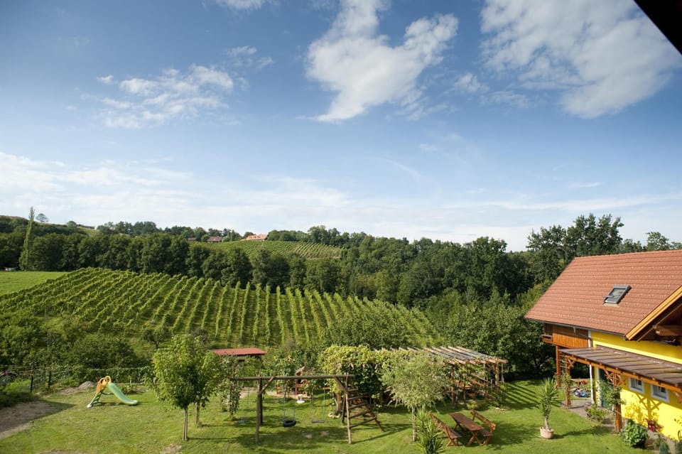 Ferienwohnung Schulter Apartment in Styria