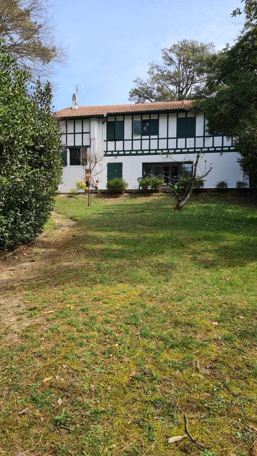 Property building, Garden, Garden