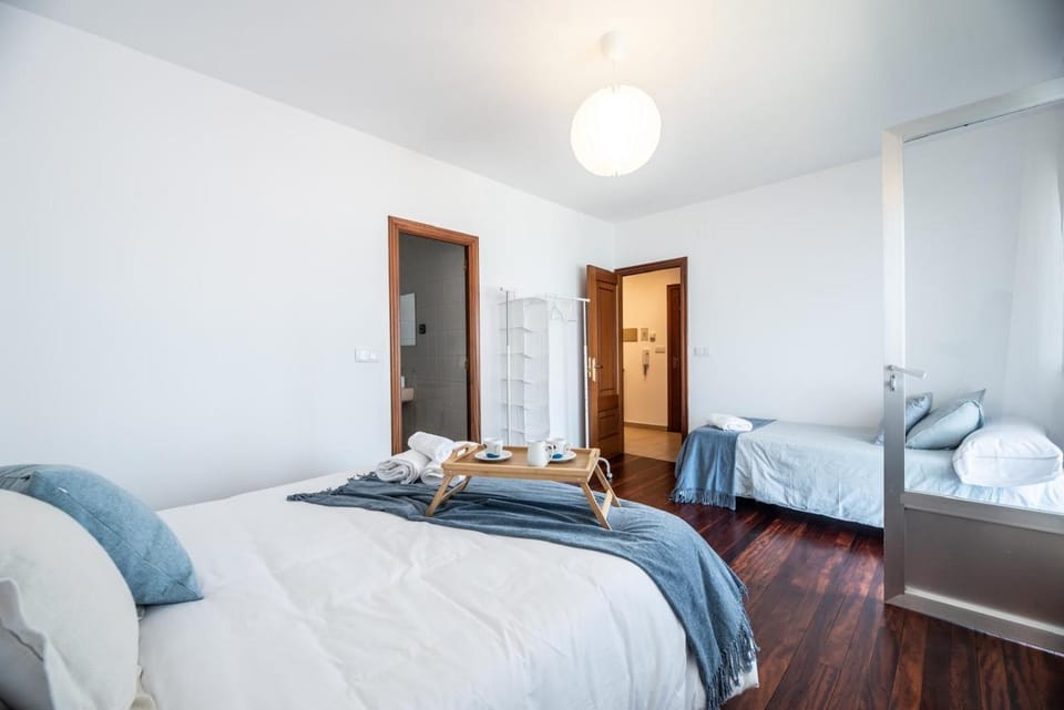 Atico centrico con terrazas Apartment in Monforte de Lemos