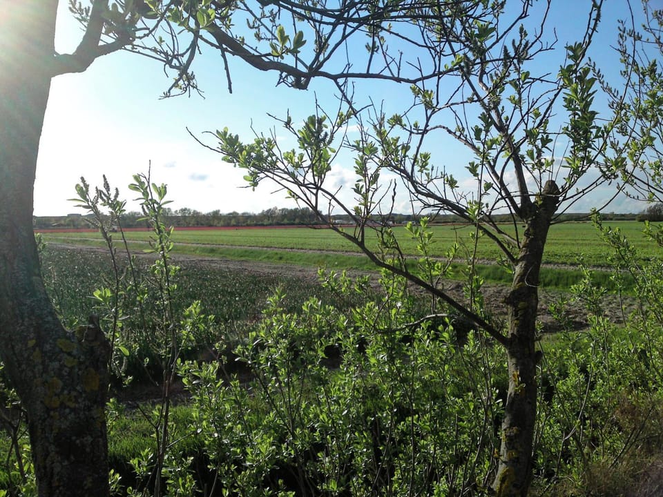 Natural landscape