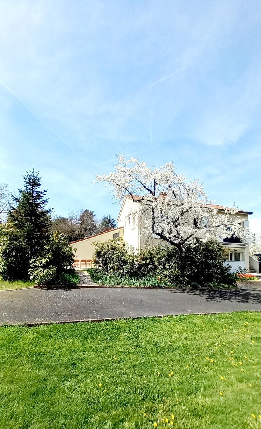 Property building, Spring, Garden view