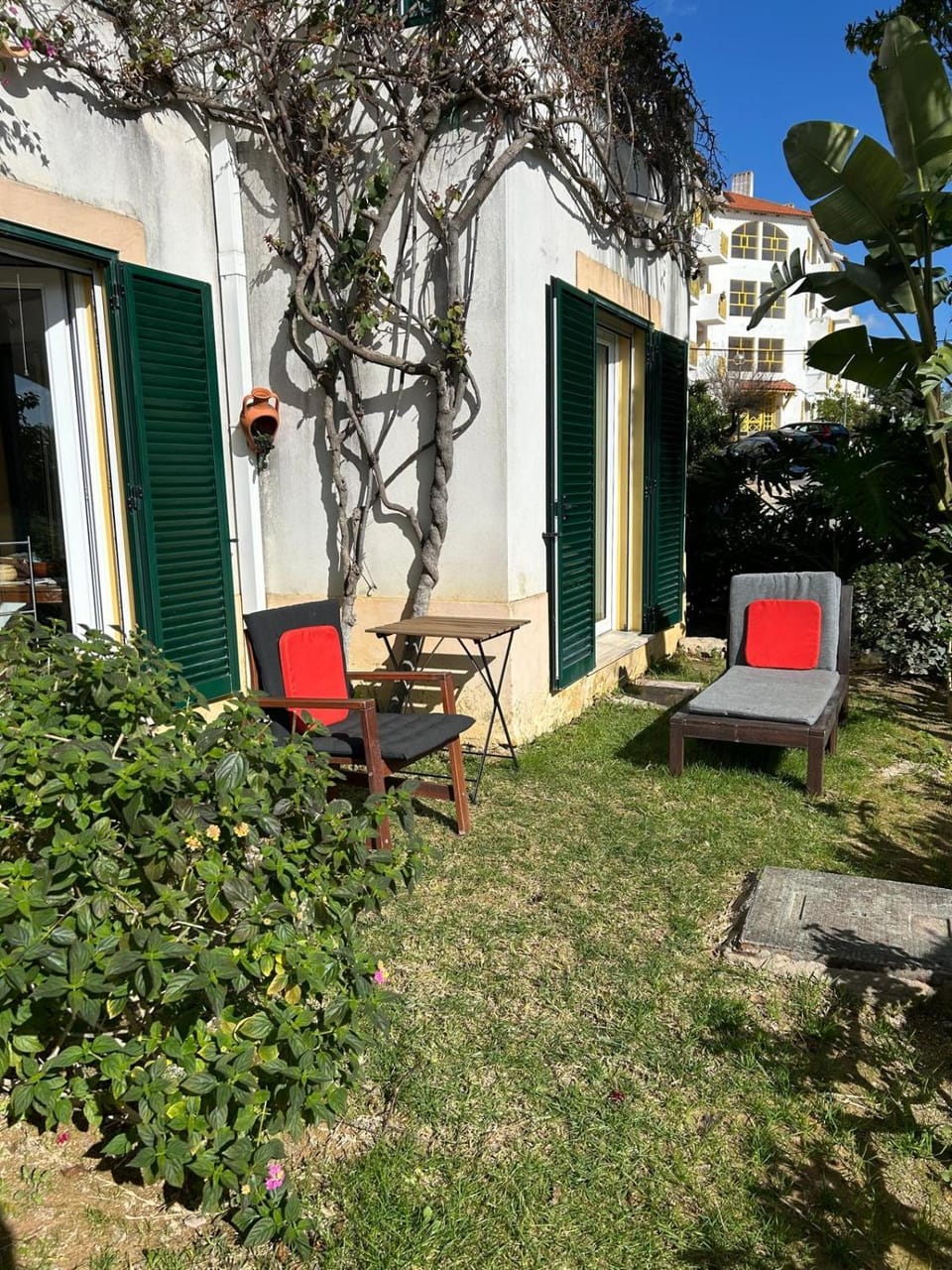 Garden, Seating area, sunbed