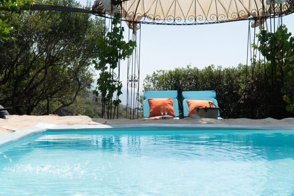 Natural landscape, Swimming pool, sunbed