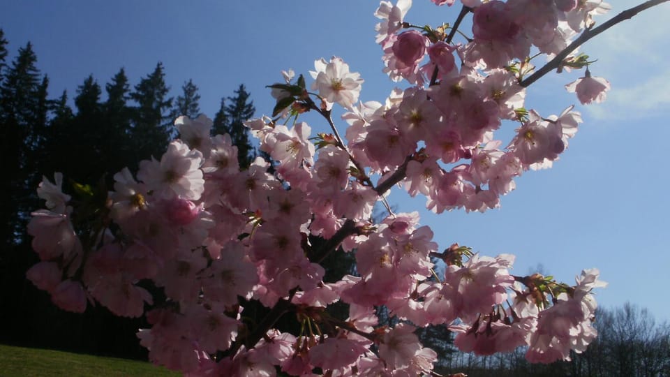 Spring