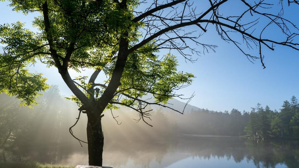 Natural landscape