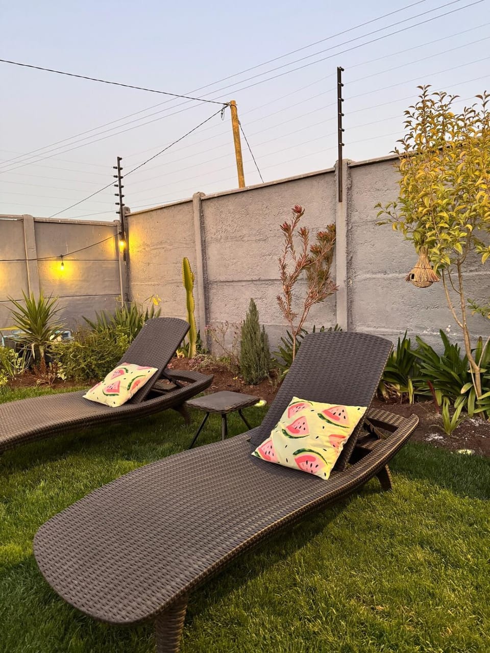 Garden, sunbed