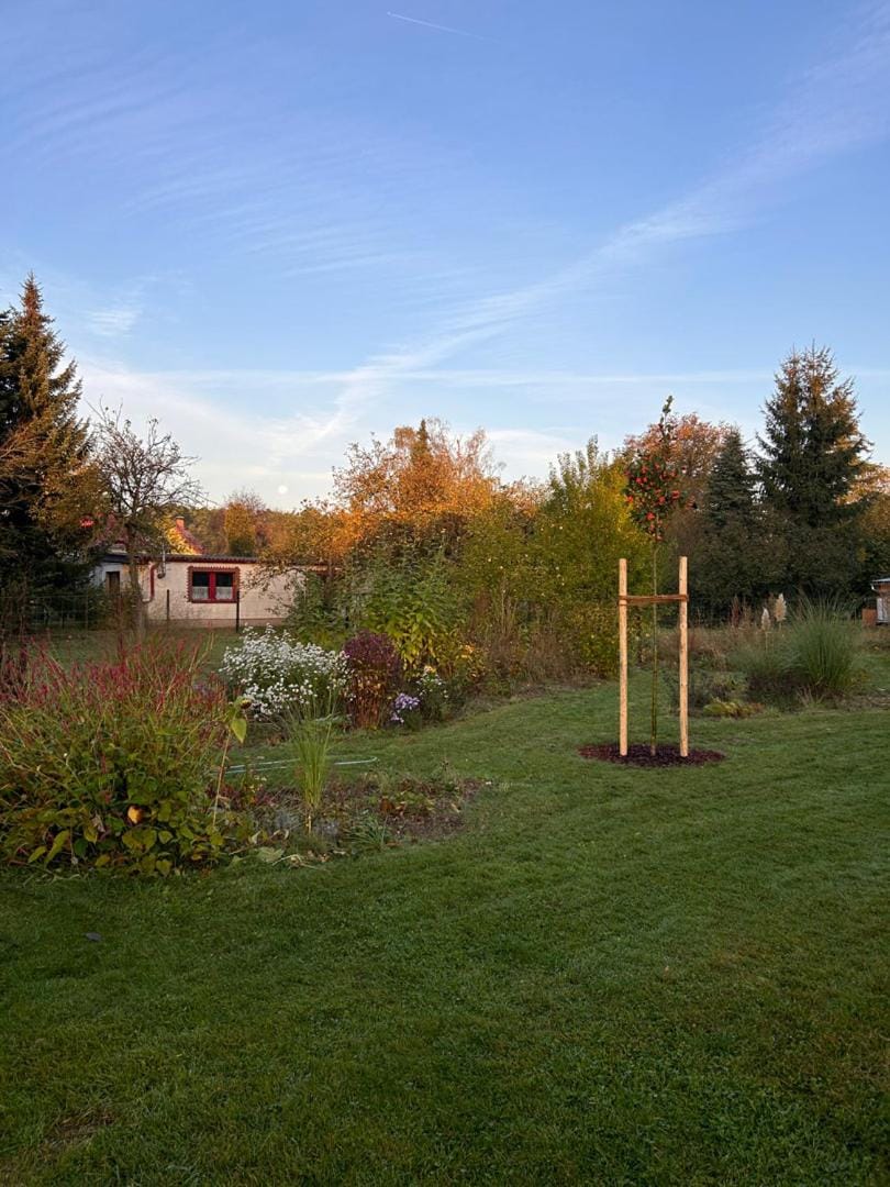 Garden, Garden view