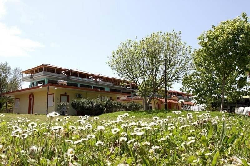 Day, Natural landscape, Garden, Garden, Garden view