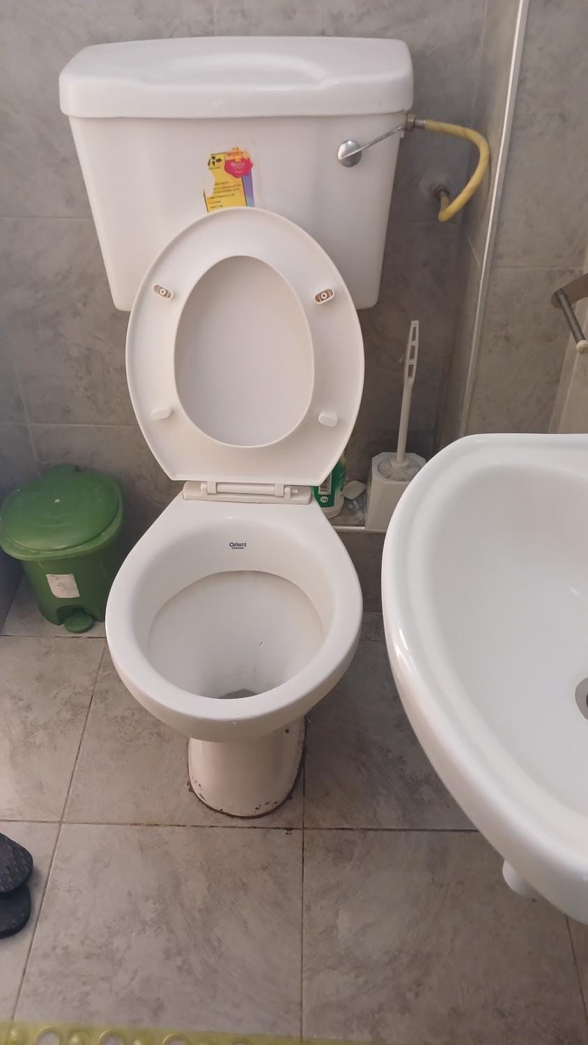 Toilet