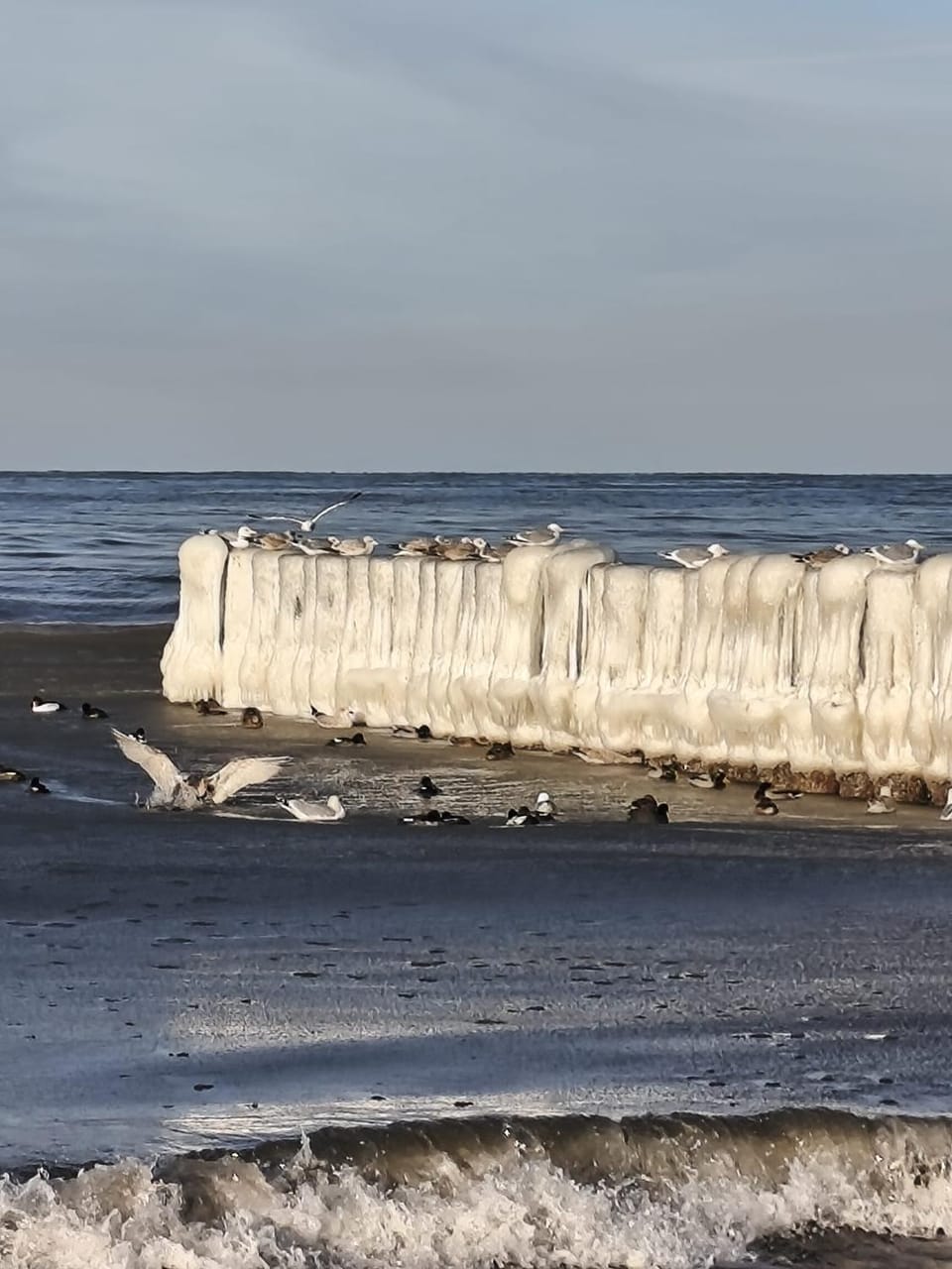 Nearby landmark, Natural landscape, Winter, Beach, Sea view