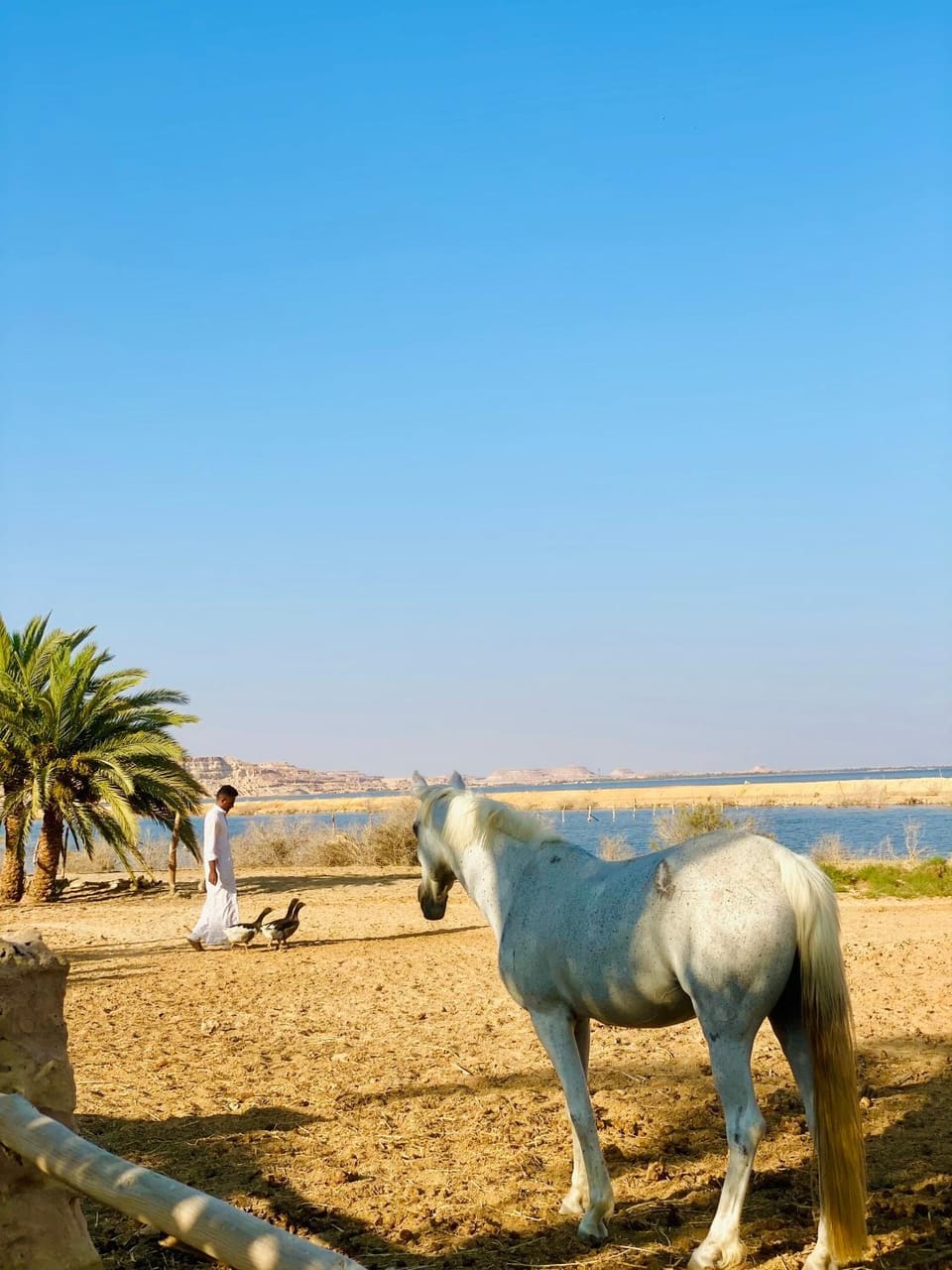 Soléi Royale Hotel in Egypt