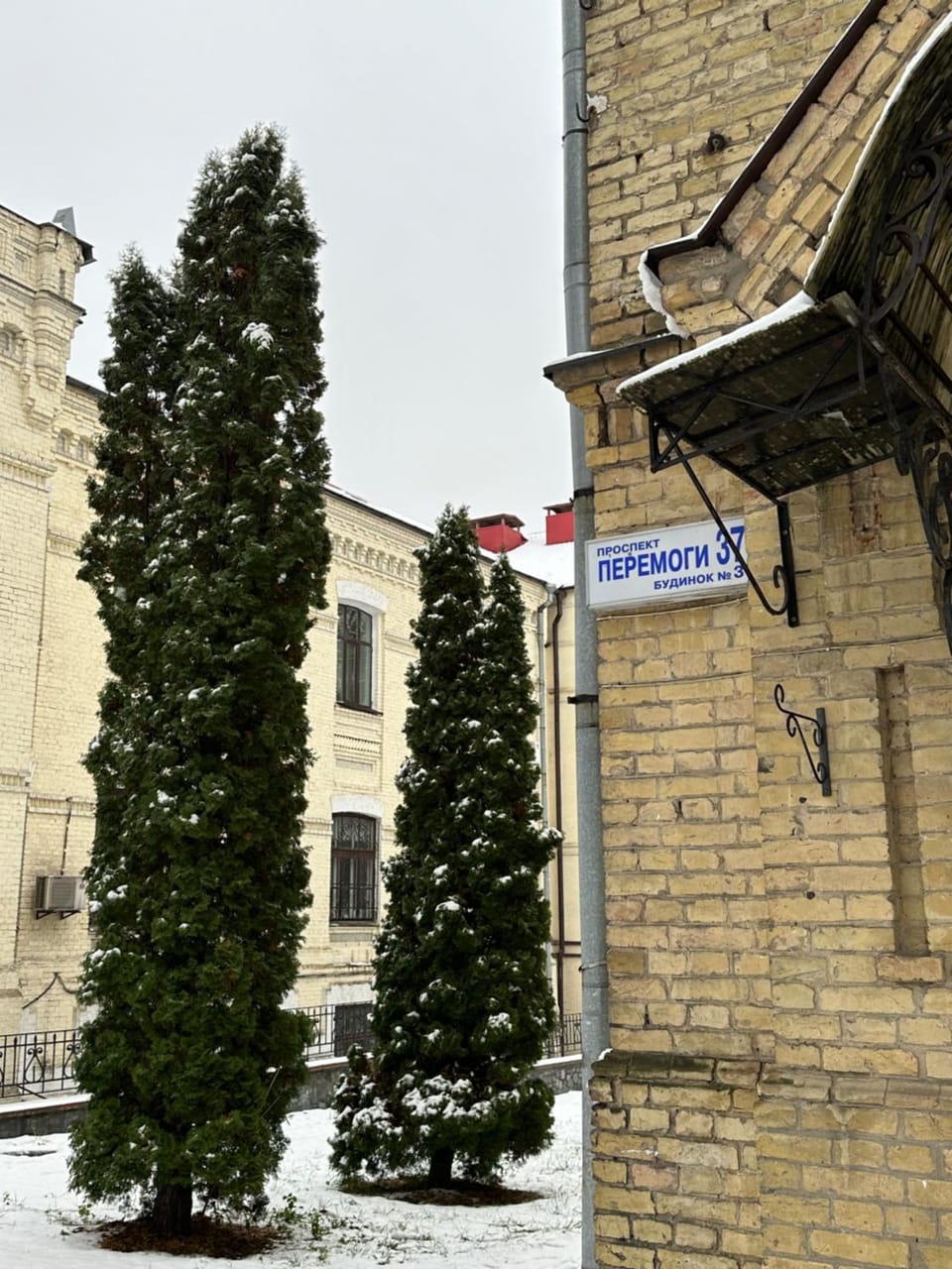Property building, Day, Neighbourhood, Winter