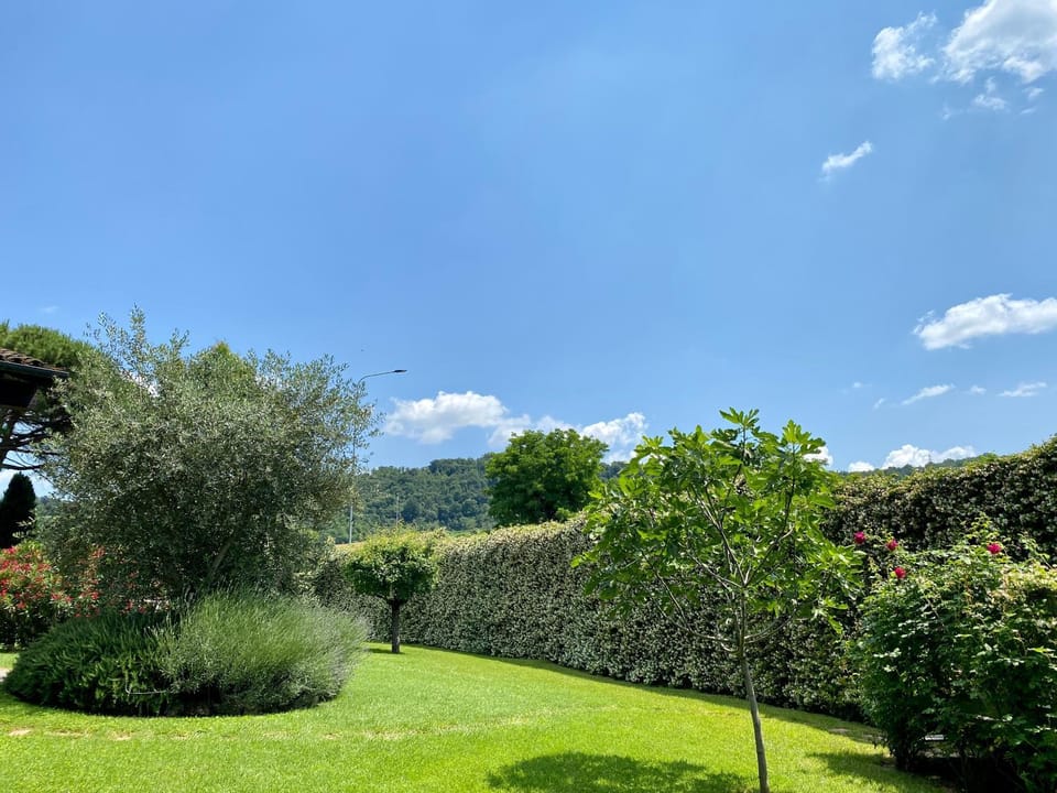 Spring, Day, Natural landscape, Garden, Garden view