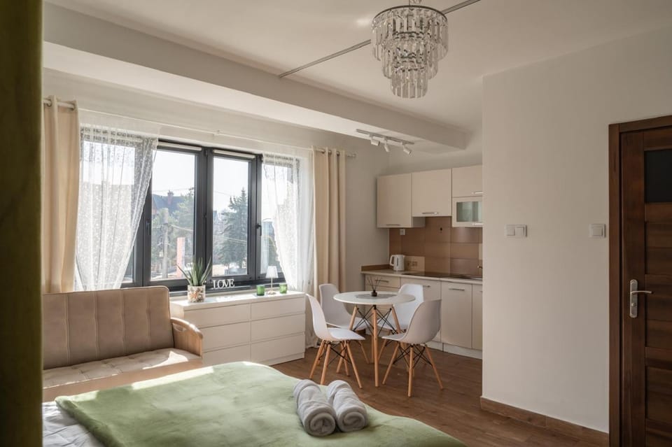 Bed, Kitchen or kitchenette, Living room, Photo of the whole room, Seating area, Dining area, Bedroom, towels