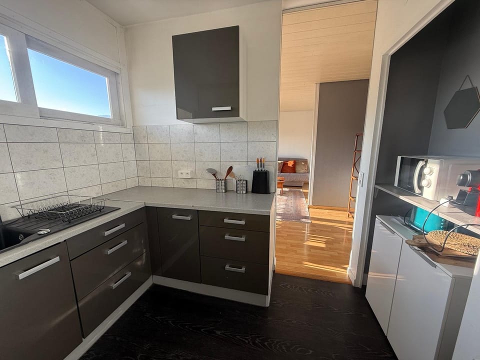 Le Nemours Apartment in Thonon-les-Bains