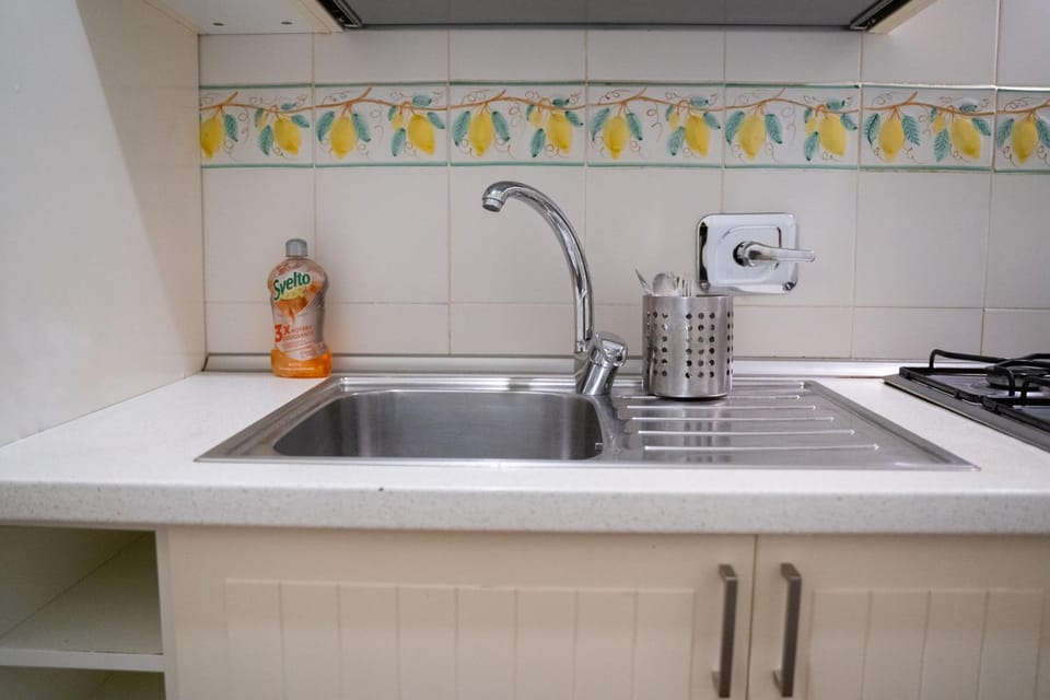Kitchen or kitchenette, dishwasher