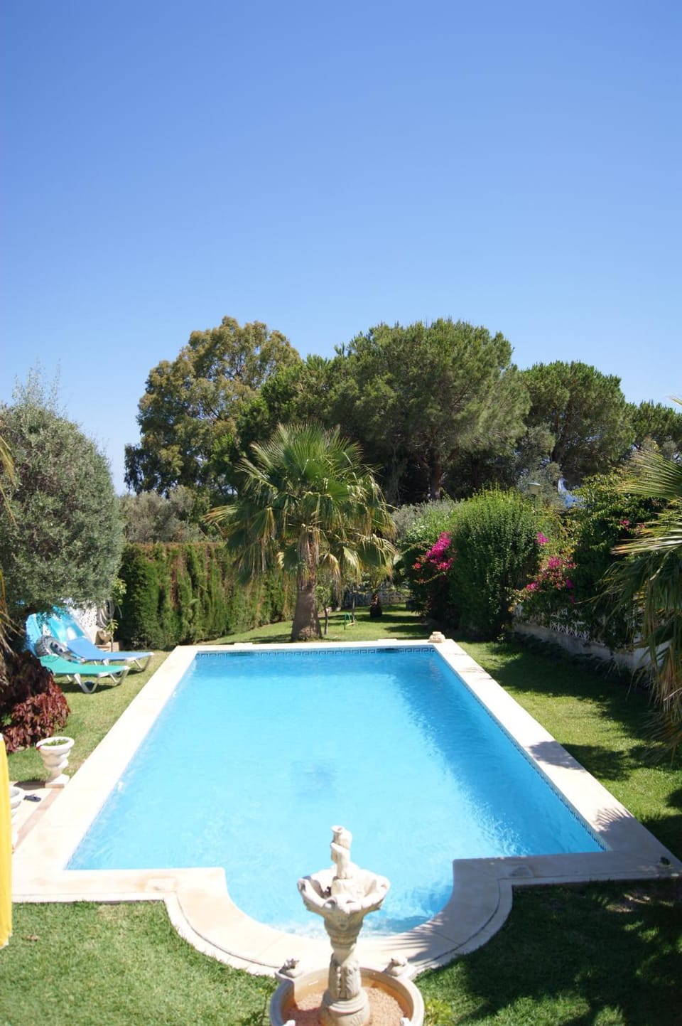 Day, Natural landscape, Summer, Garden, On site, Garden view, Garden view, Pool view, Pool view, Swimming pool, Swimming pool