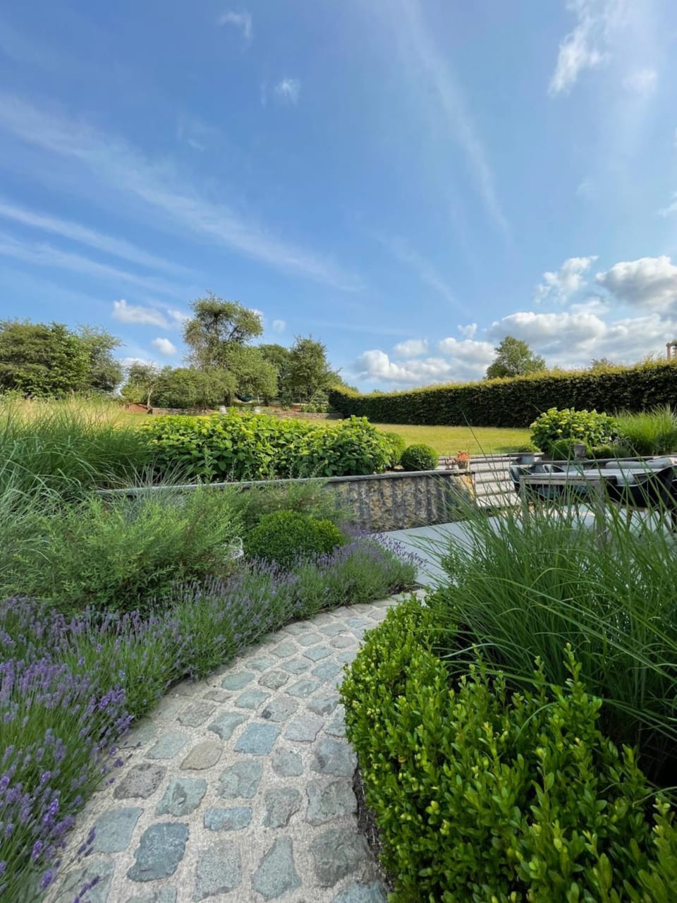 Garden view