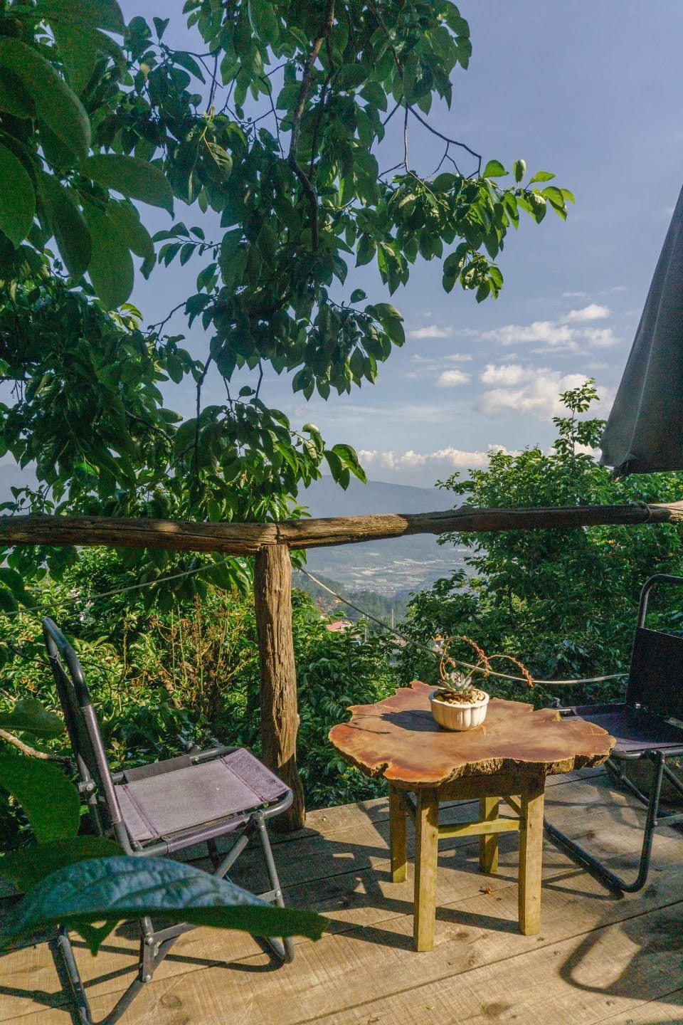 Natural landscape, View (from property/room)