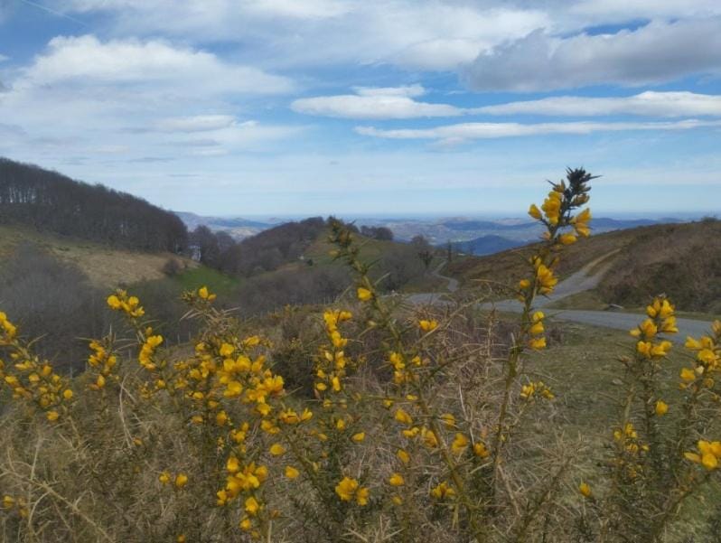 Spring, Day, Mountain view