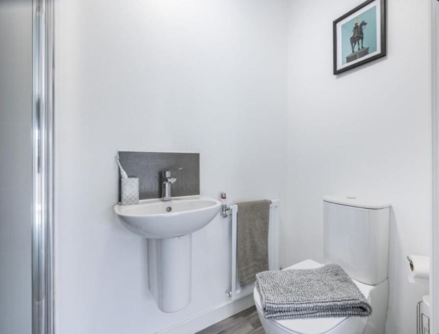Toilet, Bathroom, towels
