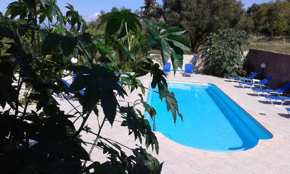 Day, Pool view