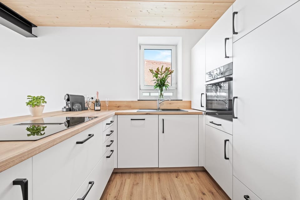 Kitchen or kitchenette, dishwasher, oven, stove