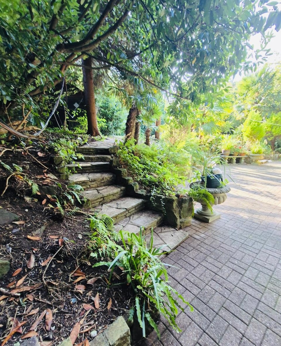 Balcony/Terrace, Garden view