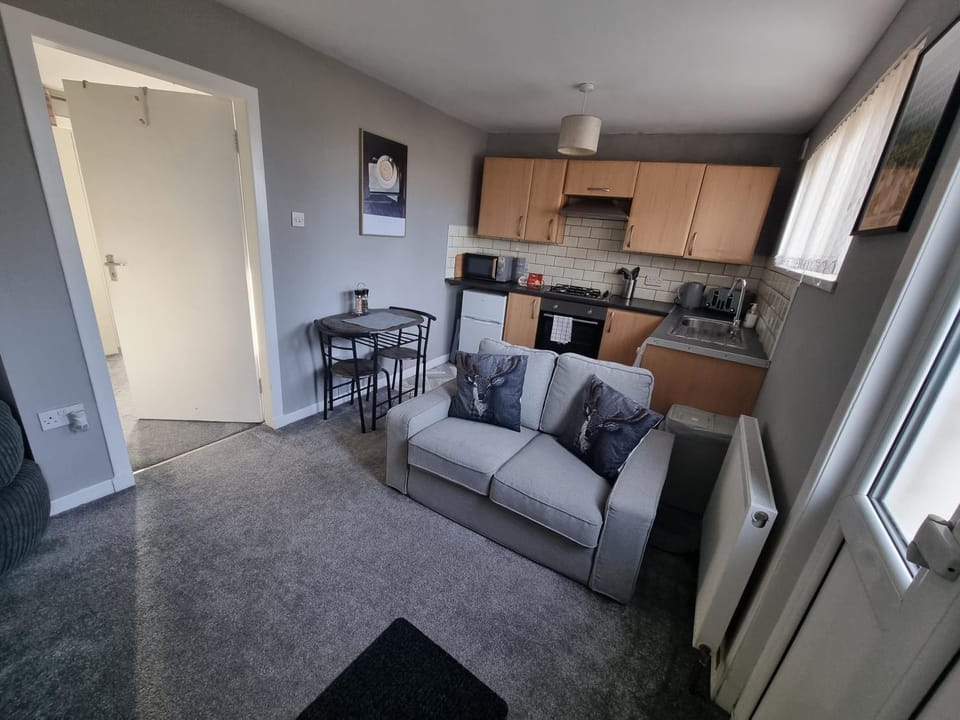 Kitchen or kitchenette, Living room, Seating area, Dining area, oven