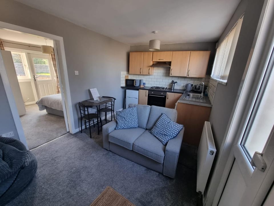 Kitchen or kitchenette, Living room, Photo of the whole room, Dining area
