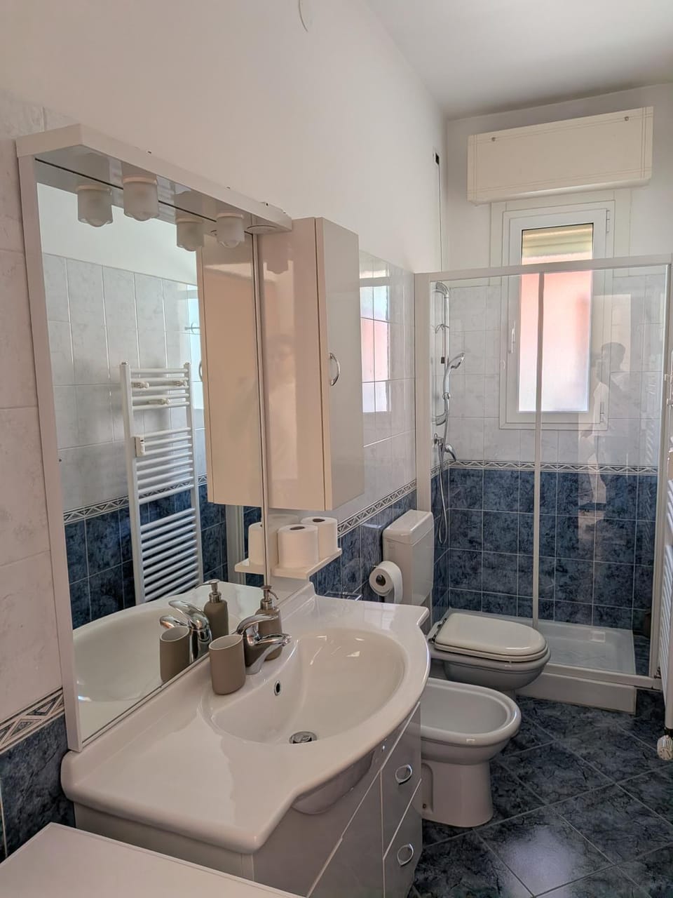 Shower, Toilet, Bathroom, bidet