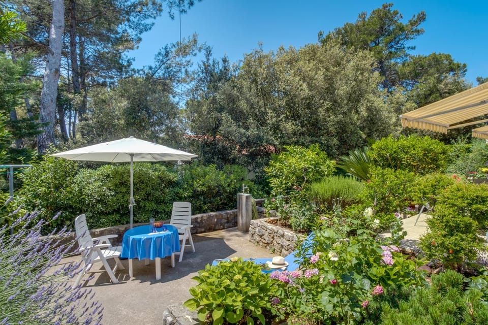 Garden, Balcony/Terrace