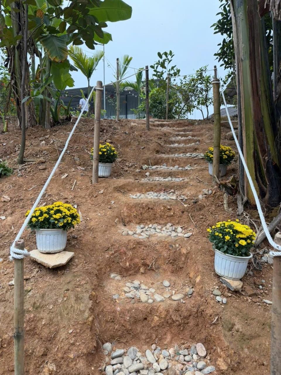 Garden view