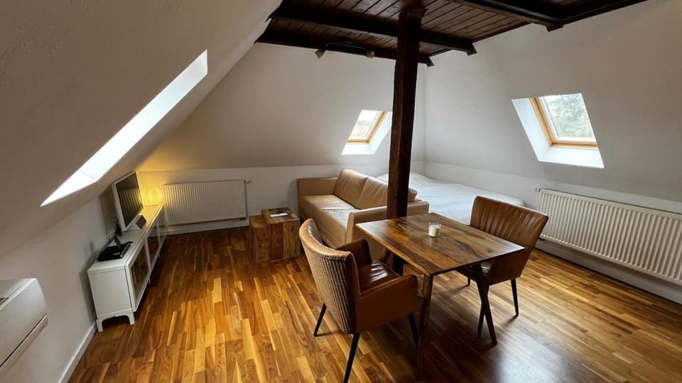 tolles Dach-Apartment mit Balkon und Klimaanlage Apartment in Halle Saale