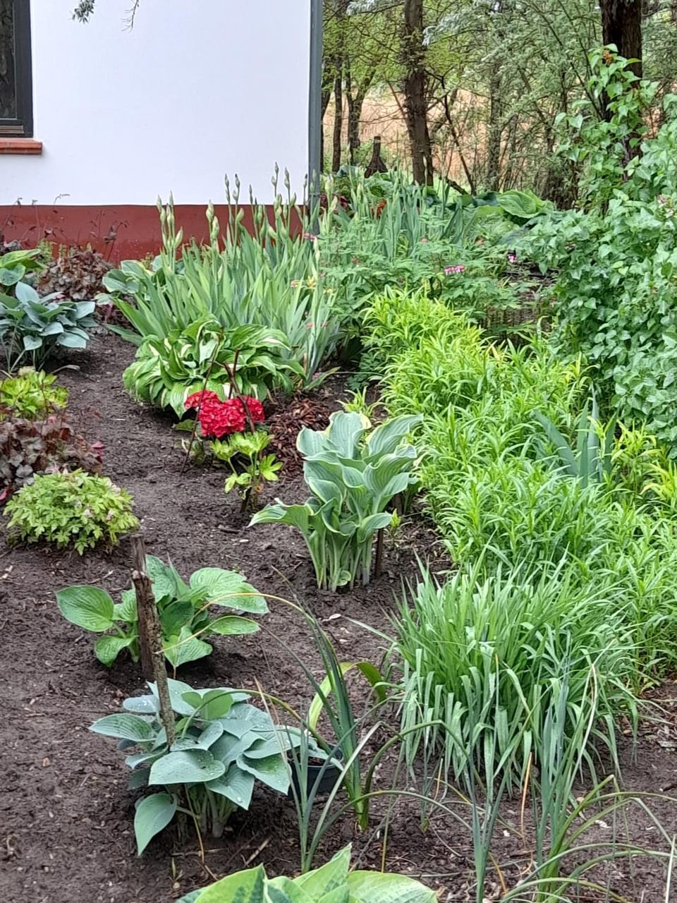 Guest House Vidravar Bed and Breakfast in Hungary