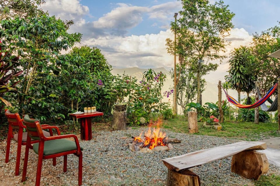 Spring, Day, Natural landscape, Garden view