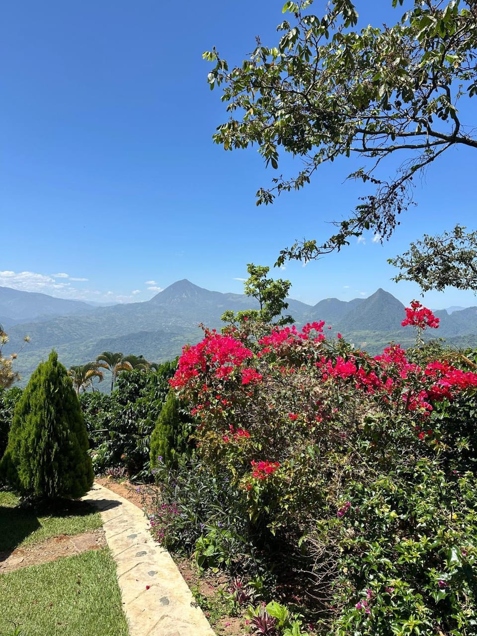 Nearby landmark, Spring, Day, Natural landscape, Garden, Garden view, Mountain view
