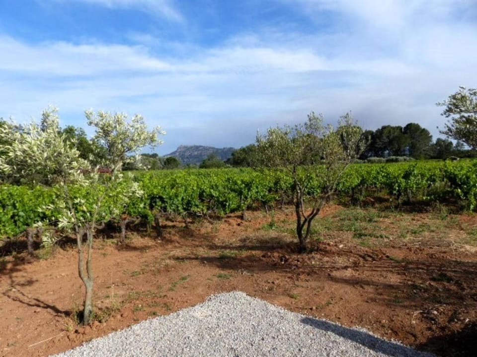 Day, Natural landscape, Garden, Garden view