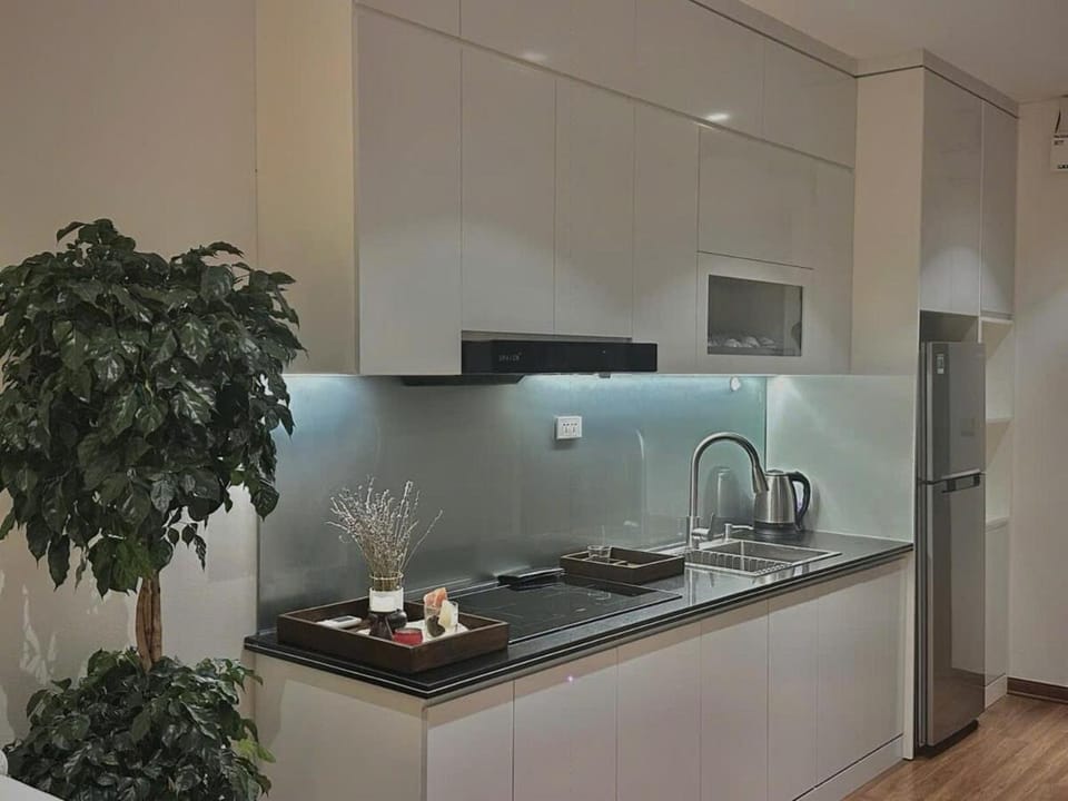 Kitchen or kitchenette, minibar, stove