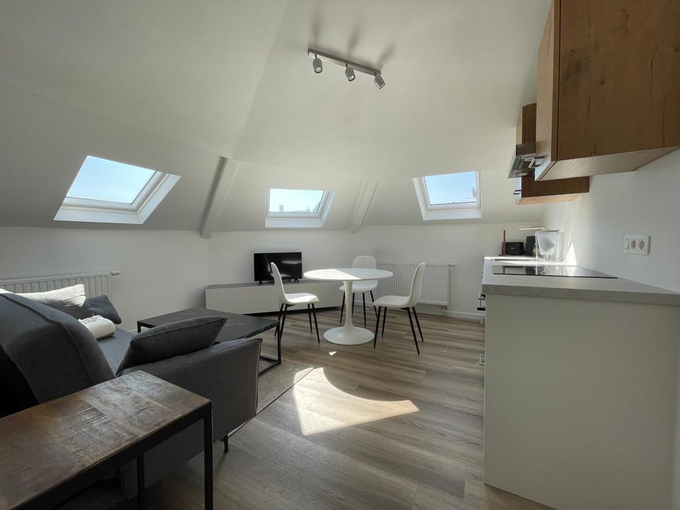 Midi Station 3 Apartment in Saint-Gilles